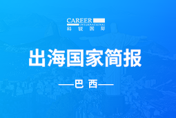 Ezpay钱包GO GLOBAL | 巴西国家简报